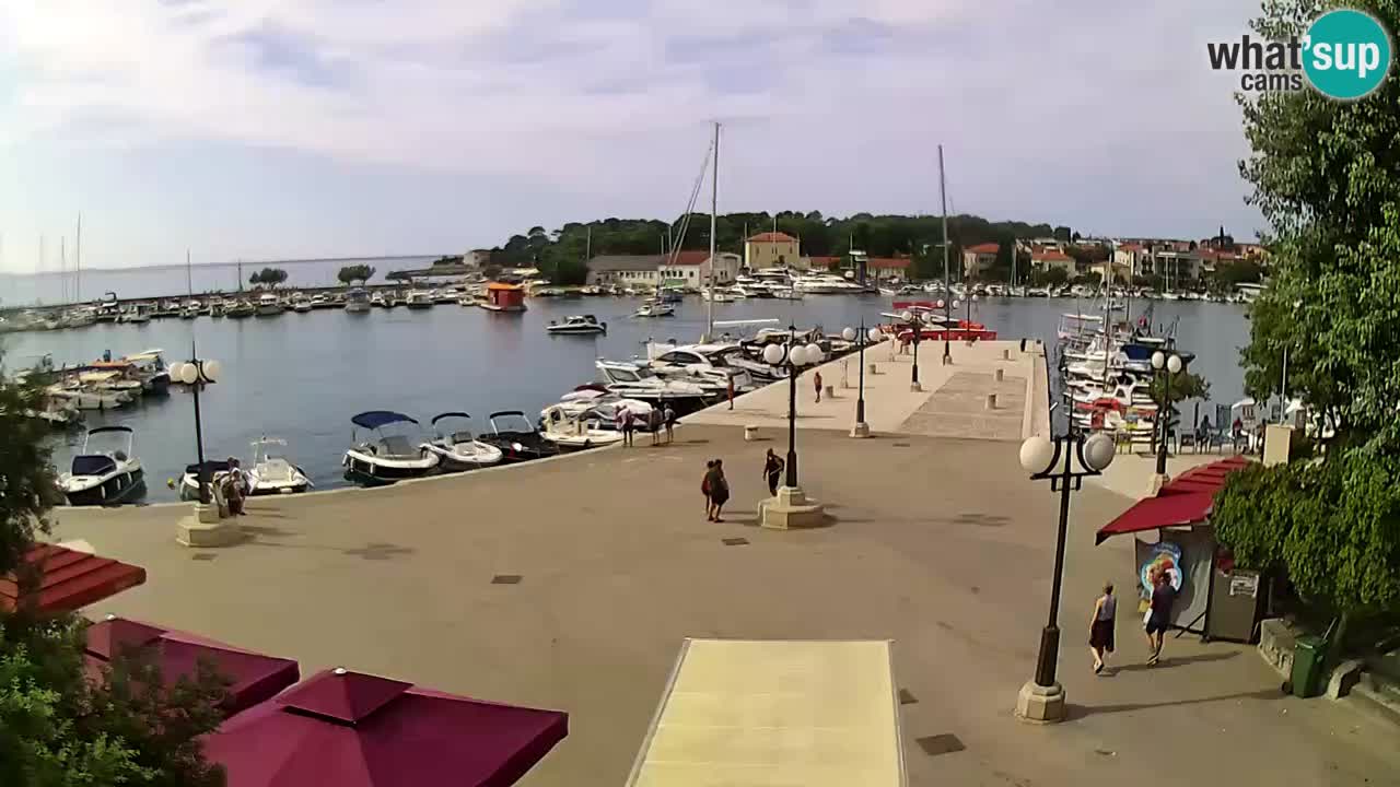 Webcam Krk – marina