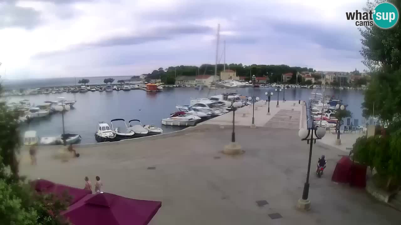 Webcam Krk – marina