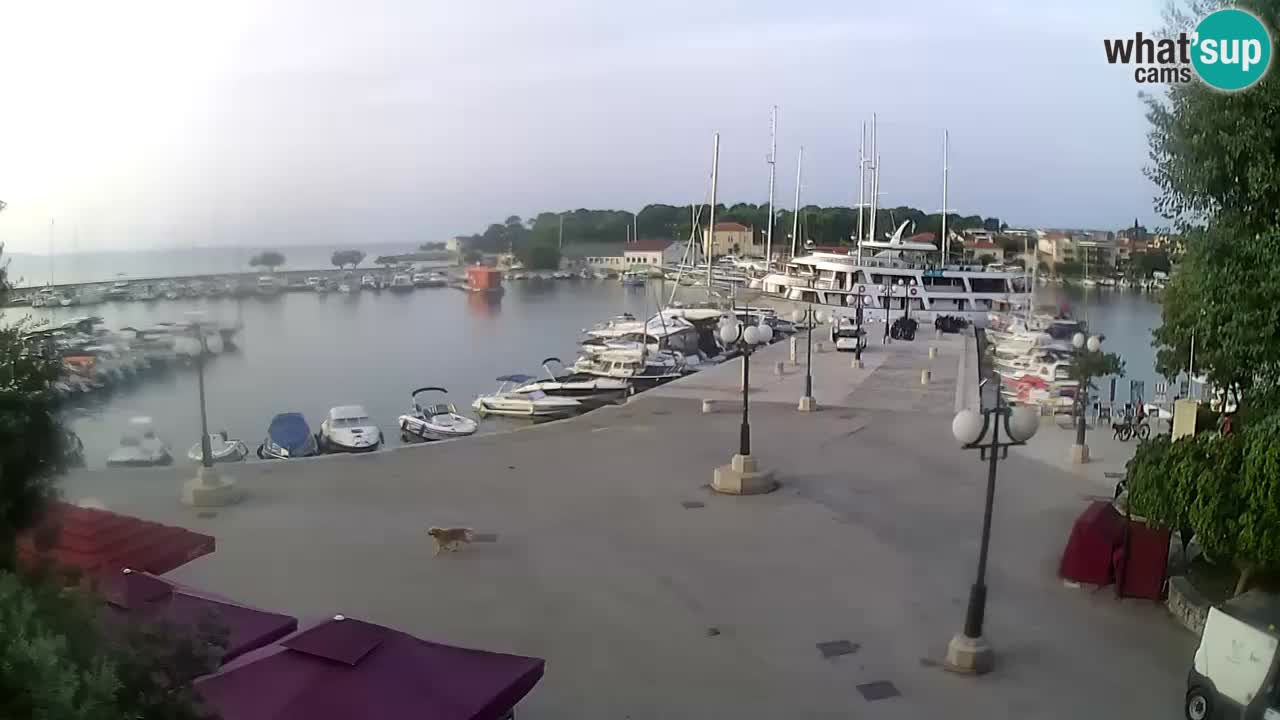 Webcam Krk – marina