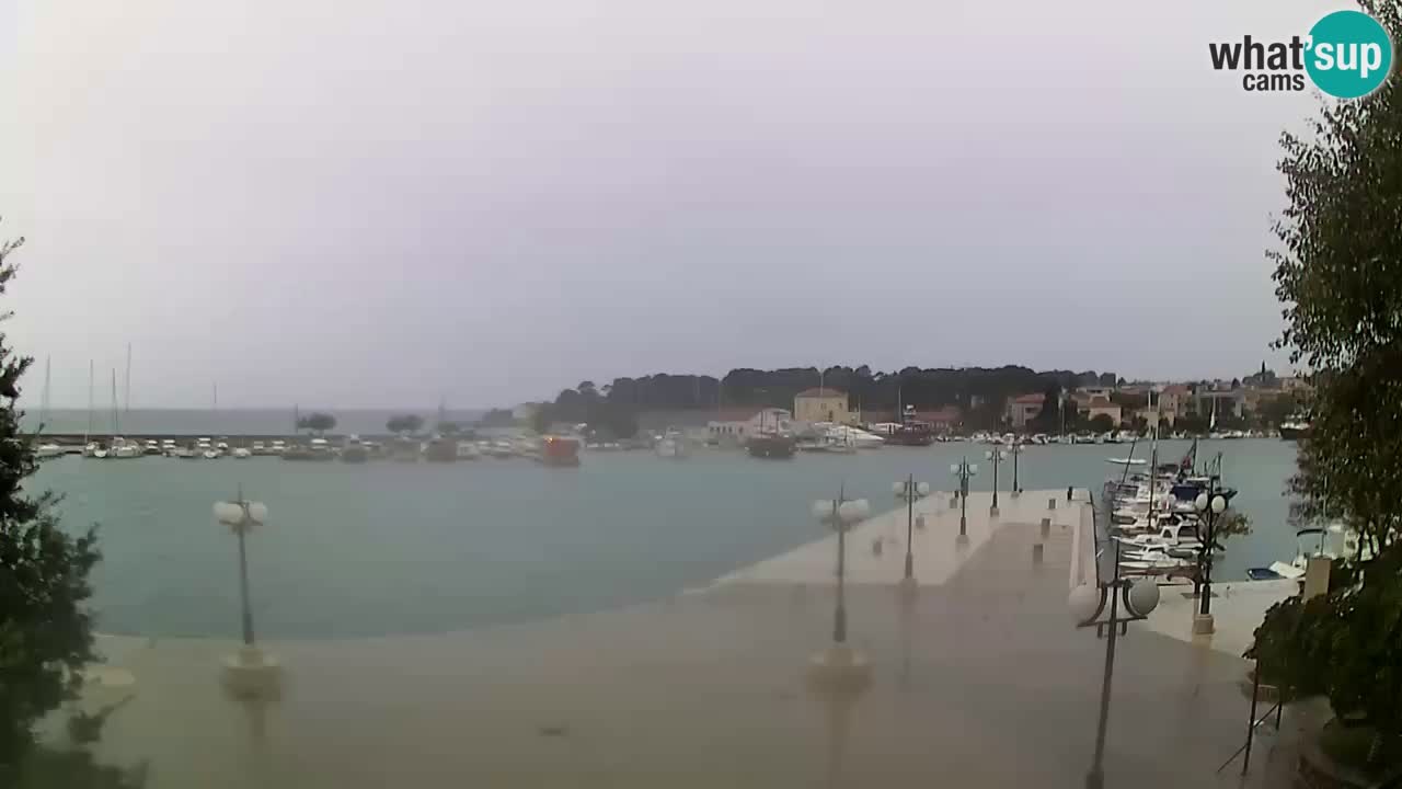 Webcam Krk – marina