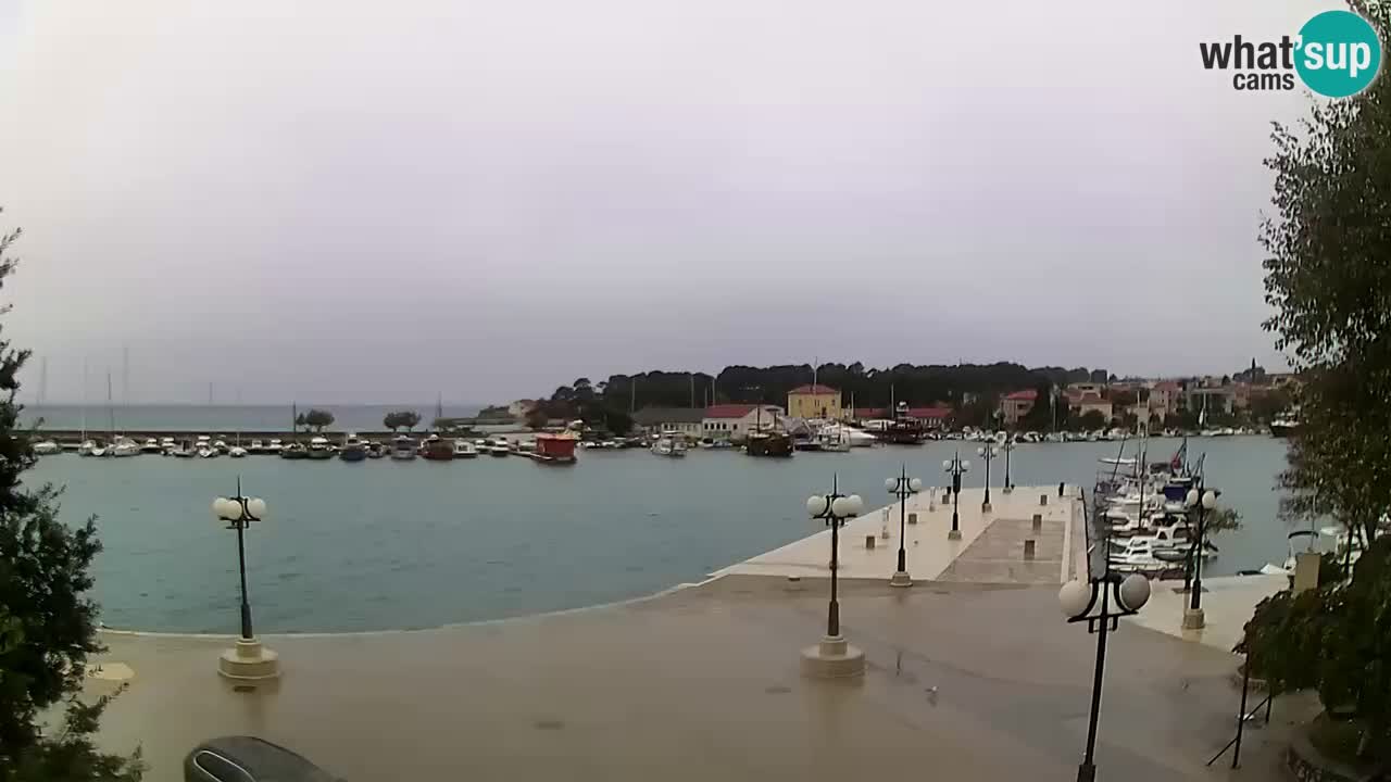 Webcam Krk – marina