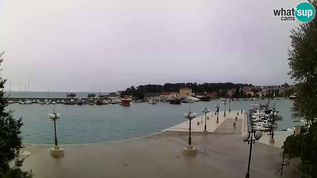 Webcam Krk – marina