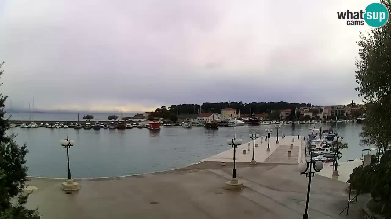 Webcam Krk – marina