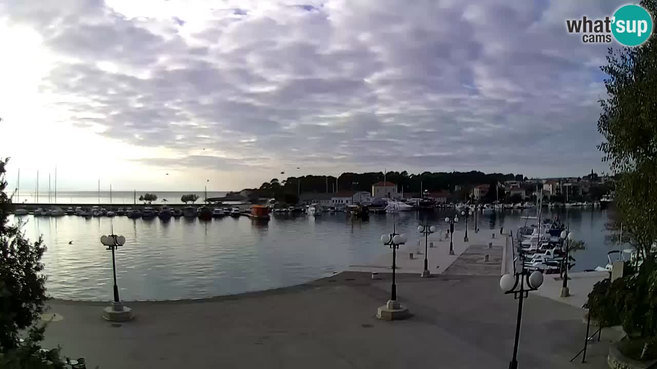 Webcam Krk – marina