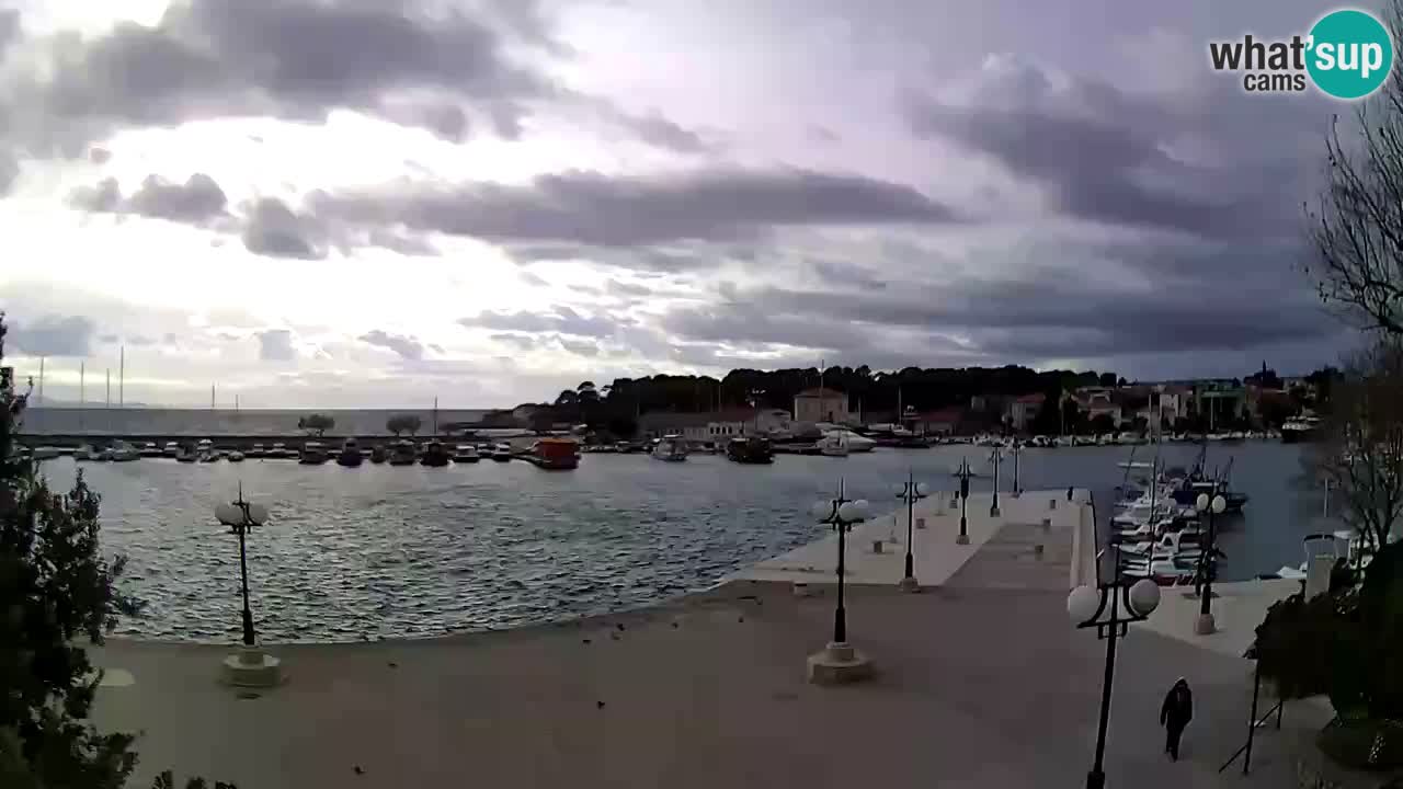 Webcam Krk – marina