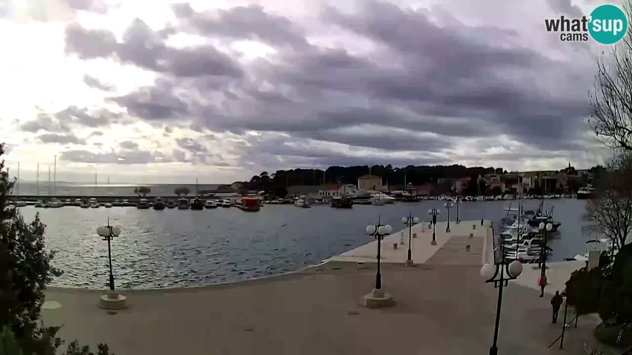 Webcam Krk – marina