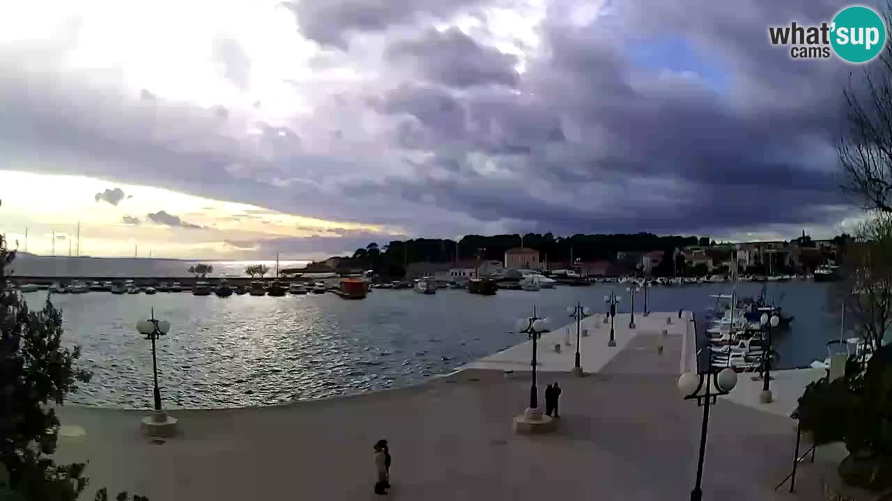 Webcam Krk – marina