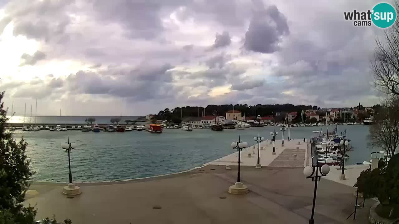 Webcam Krk – marina