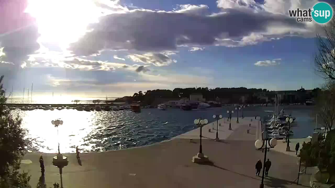 Webcam Krk – marina