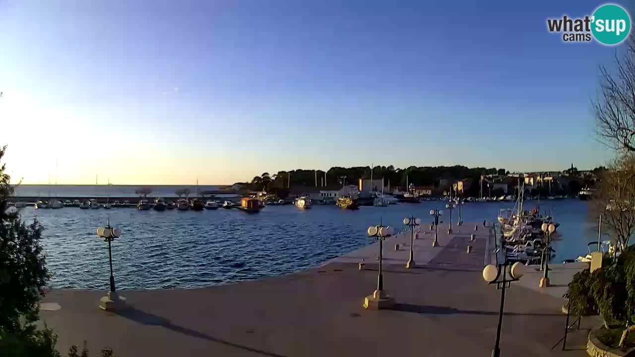 Webcam Krk – marina