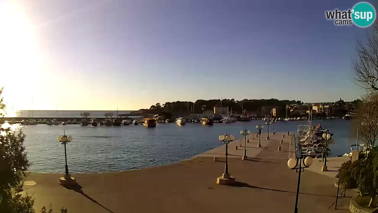 Webcam Krk – marina