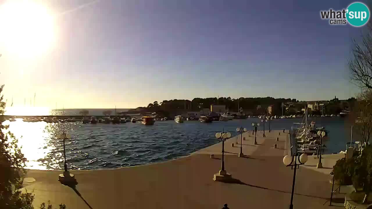 Webcam Krk – marina