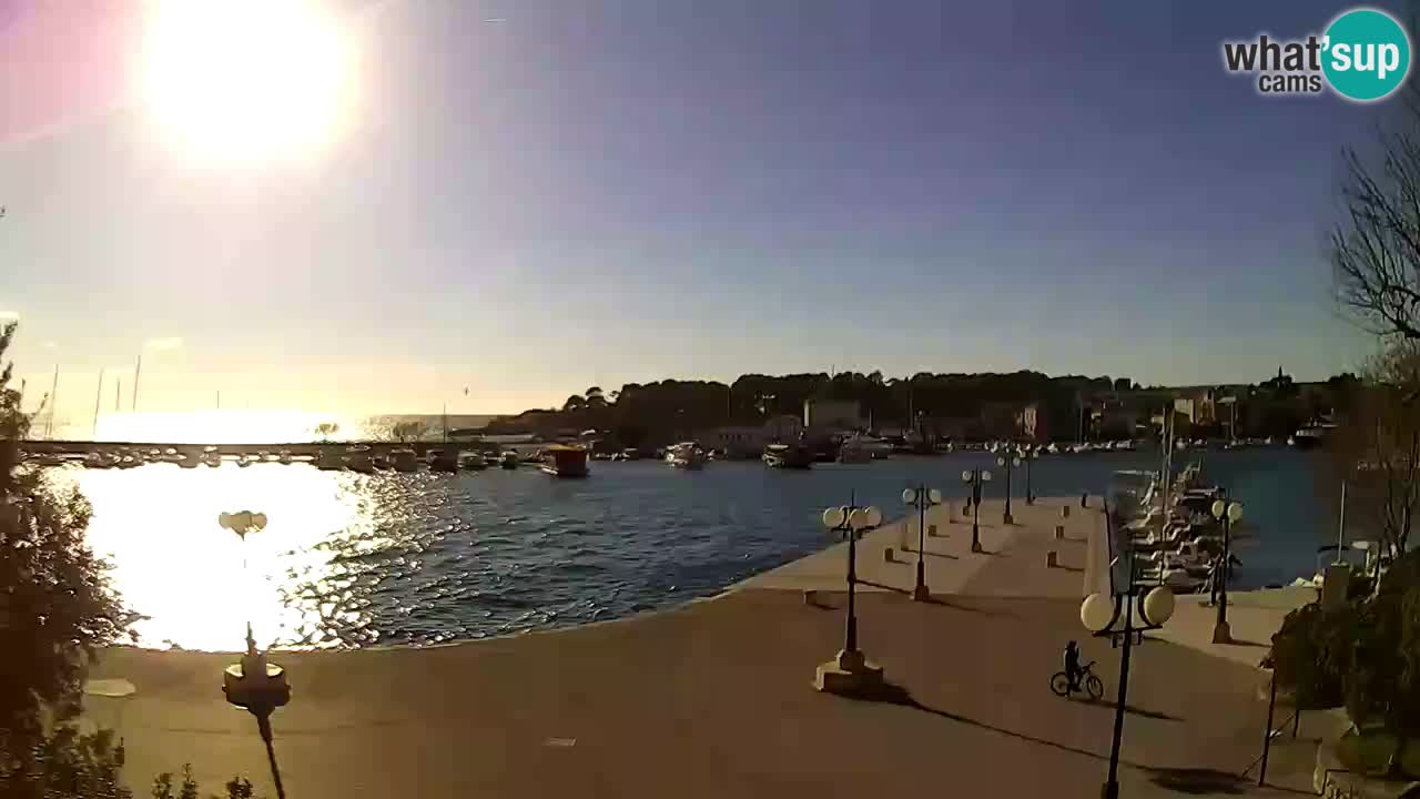 Webcam Krk – marina