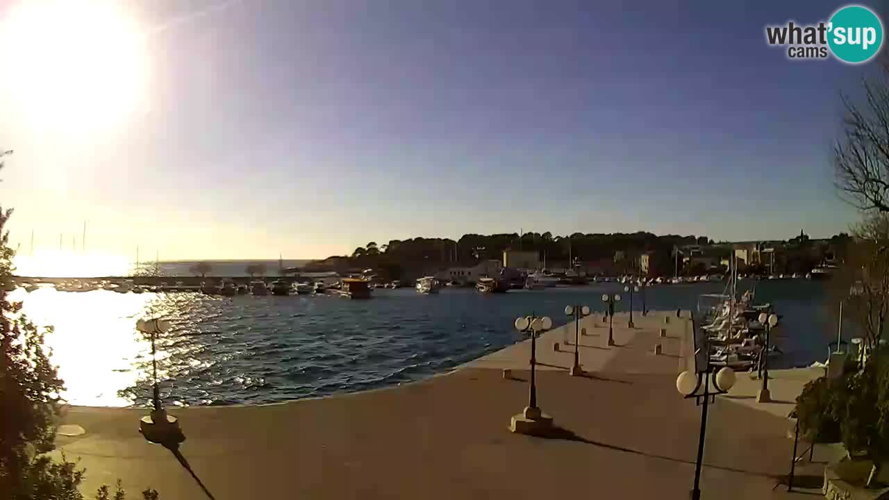 Webcam Krk – marina