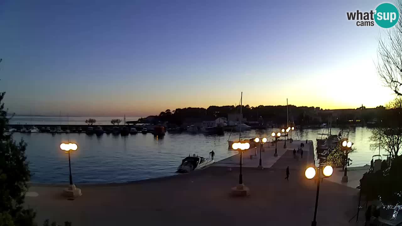 Webcam Krk – marina