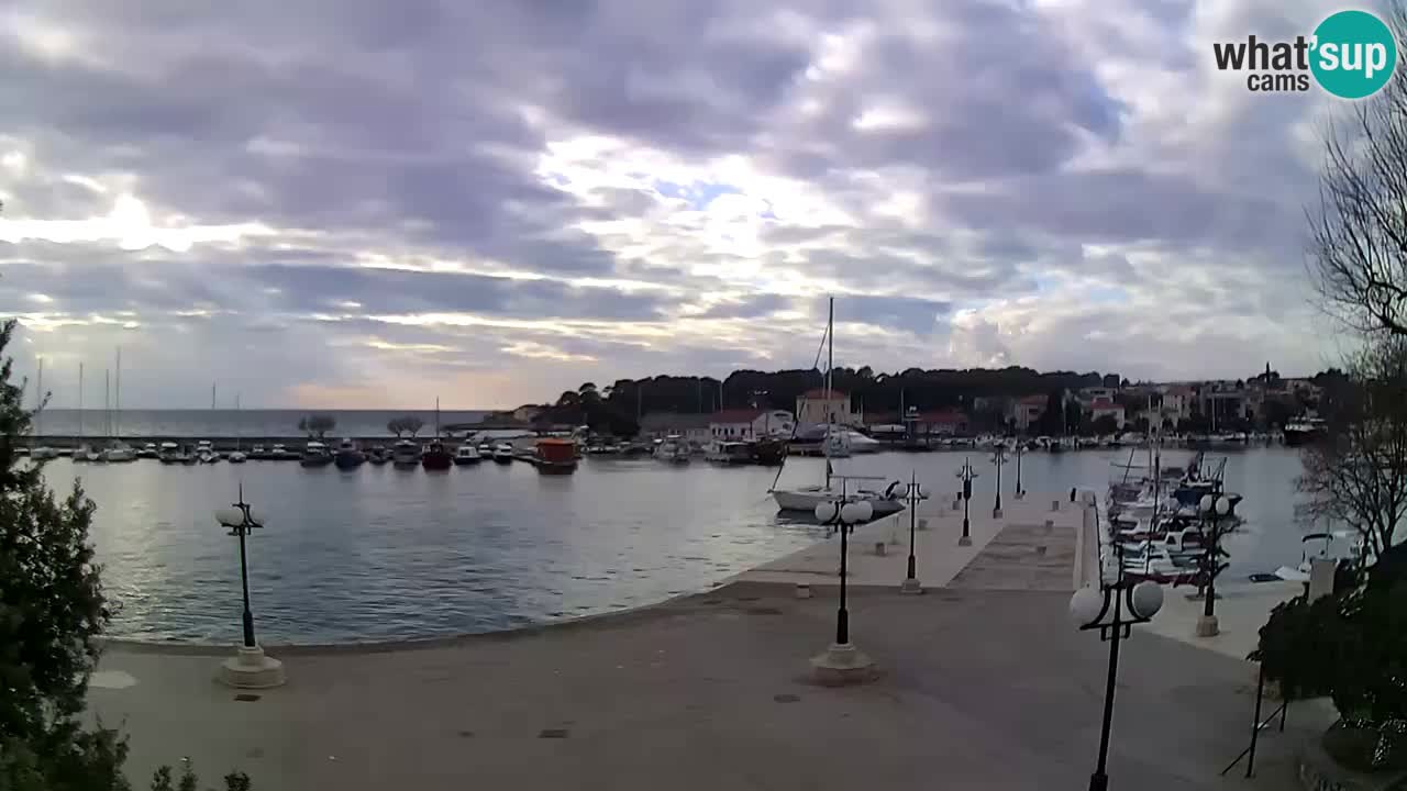 Webcam Krk – marina