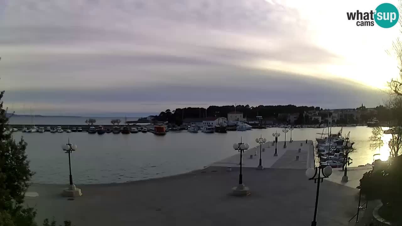 Webcam Krk – marina