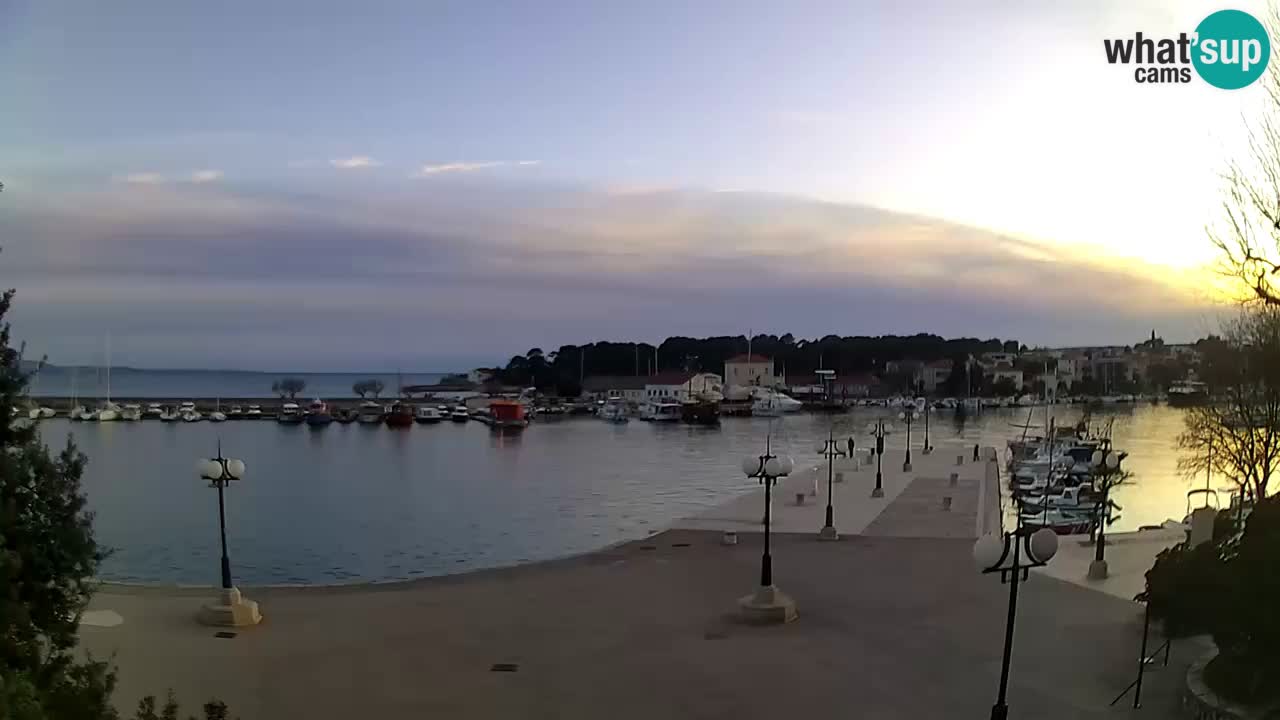 Webcam Krk – marina