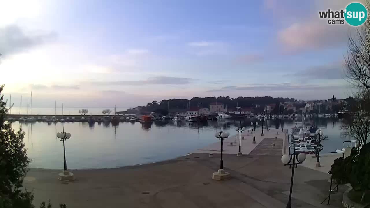 Webcam Krk – marina