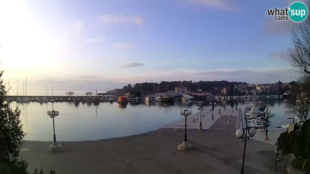 Webcam Krk – marina