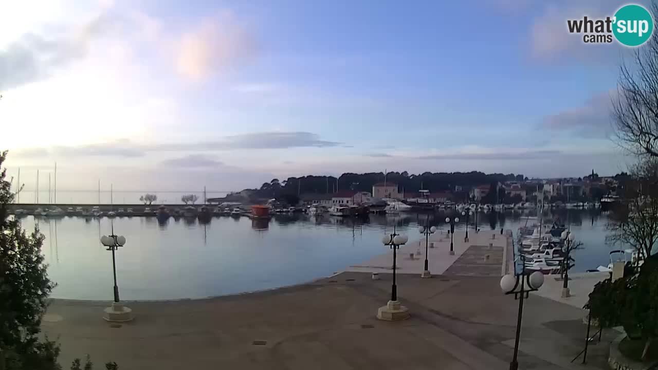 Webcam Krk – marina