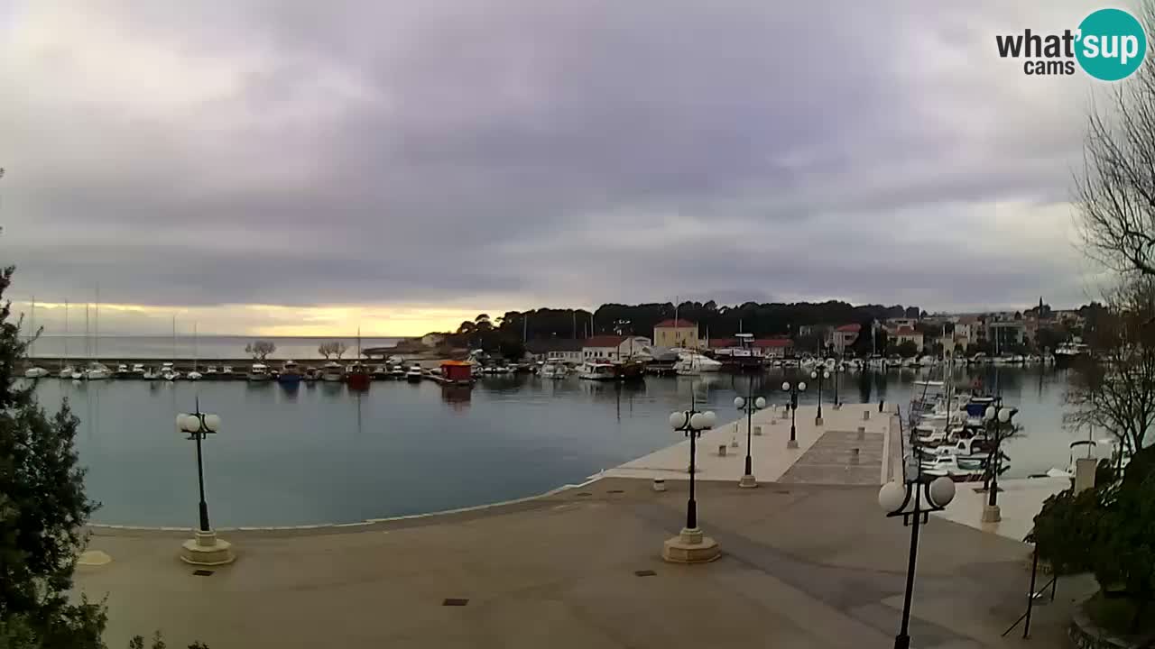 Webcam Krk – marina