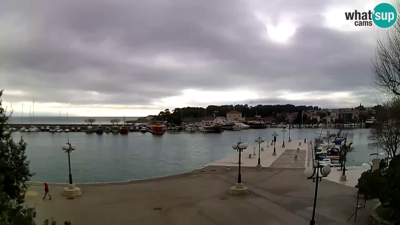 Webcam Krk – marina