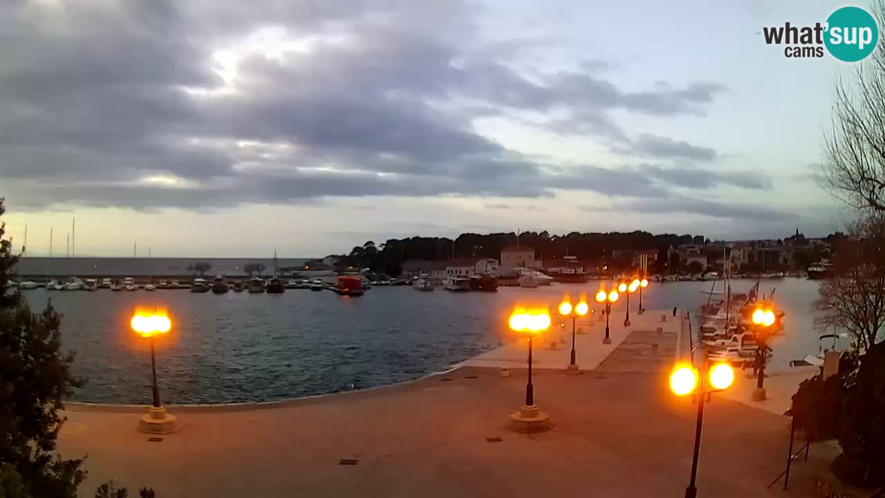 Webcam Krk – marina