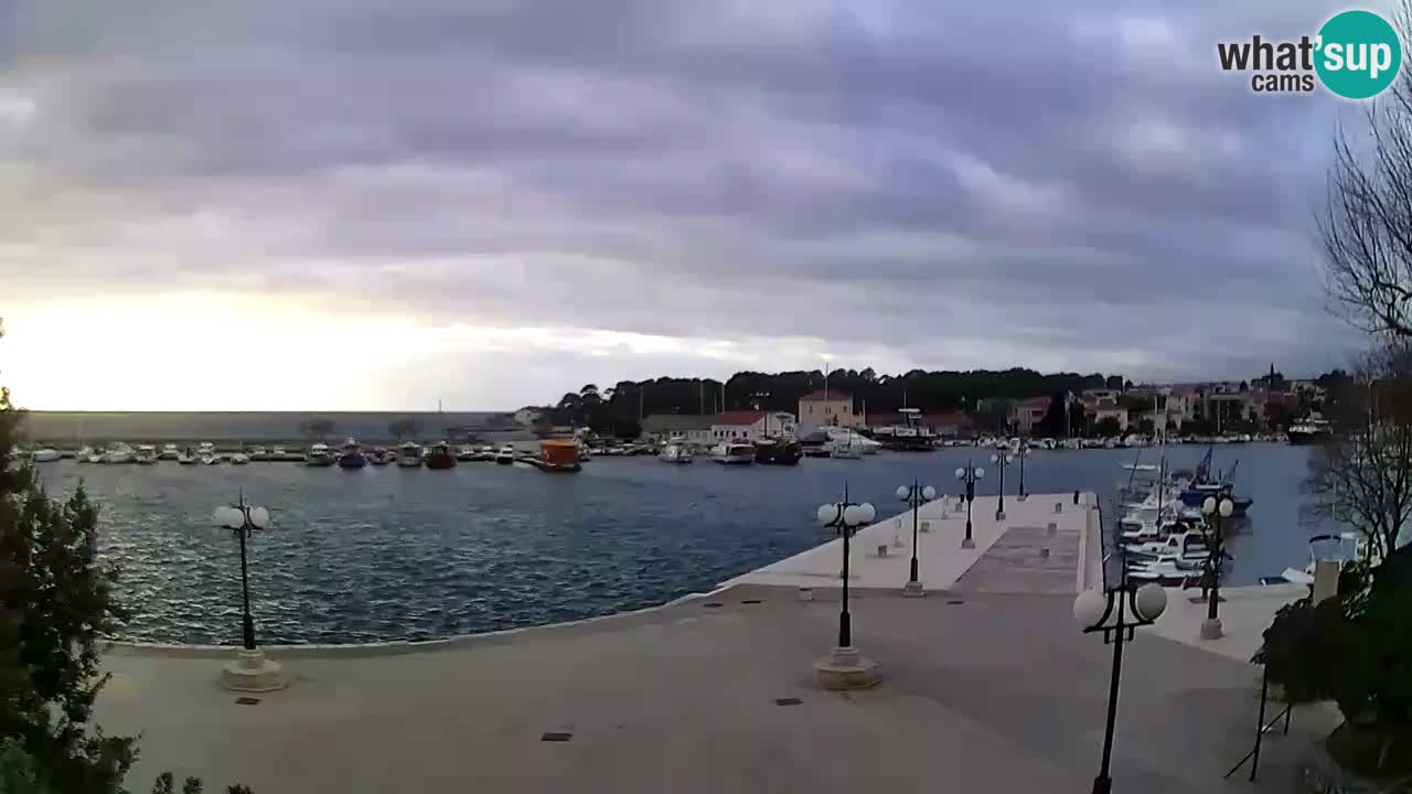 Webcam Krk – marina