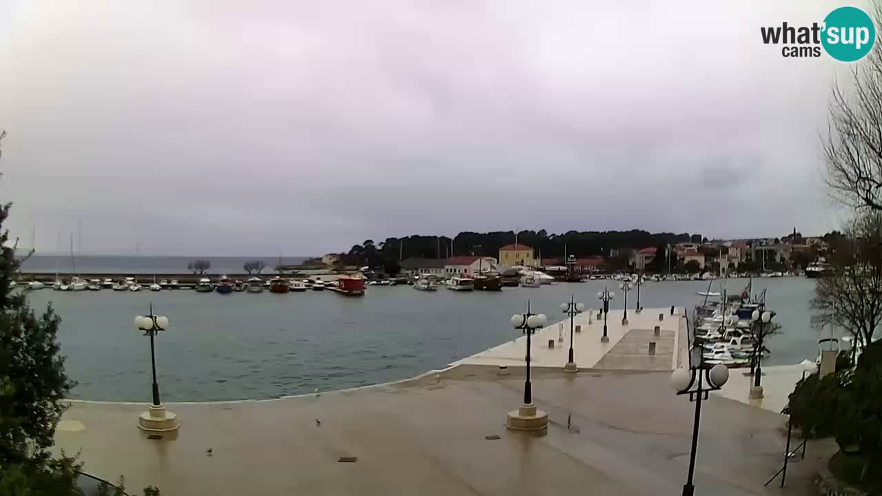 Webcam Krk – marina