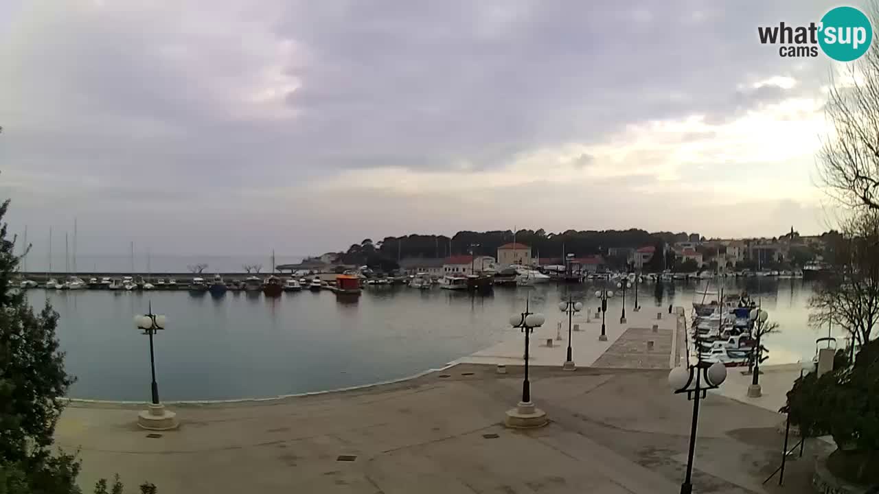 Webcam Krk – marina