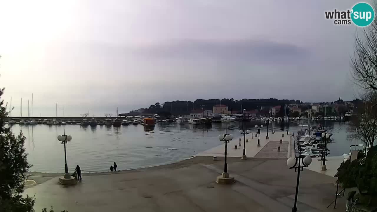 Webcam Krk – marina