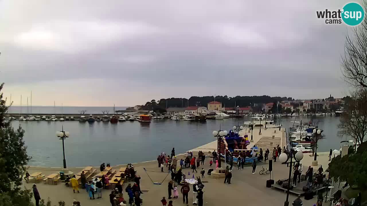 Webcam Krk – marina