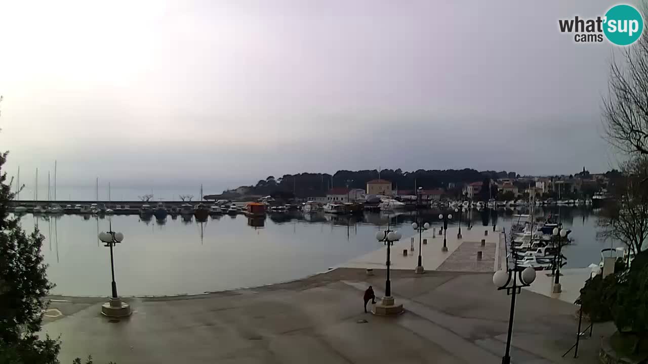 Webcam Krk – marina