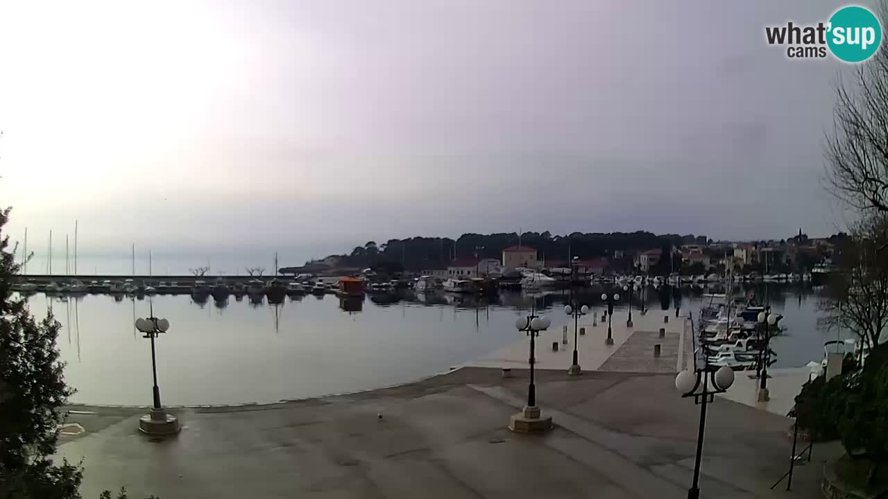 Webcam Krk – marina