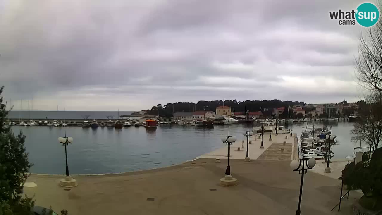 Webcam Krk – marina