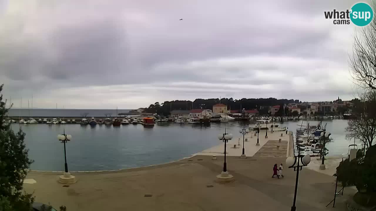 Webcam Krk – marina