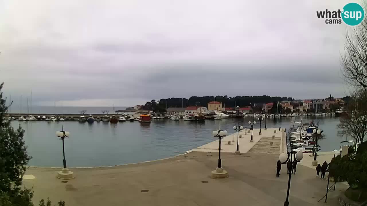 Webcam Krk – marina