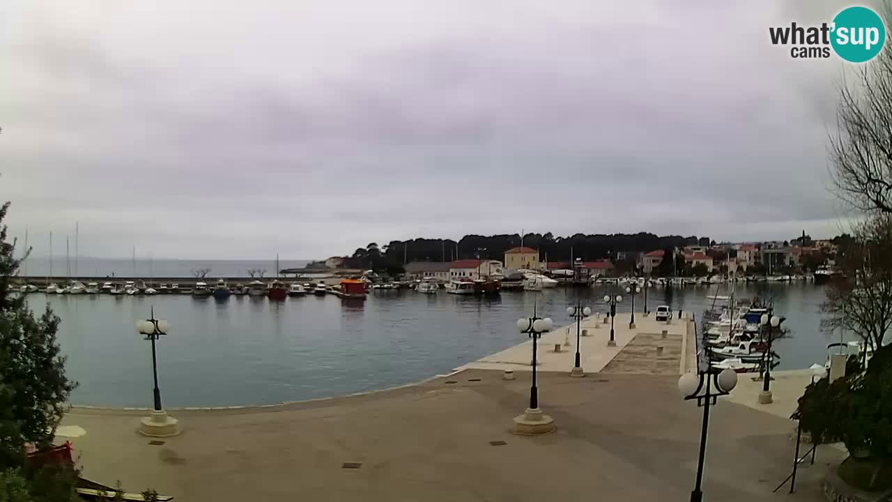 Webcam Krk – marina