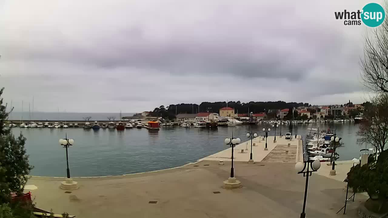 Webcam Krk – marina