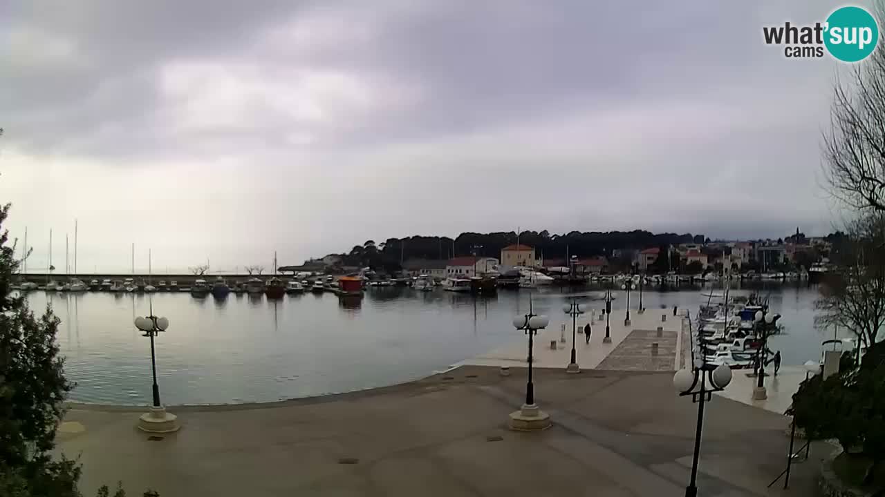 Webcam Krk – marina