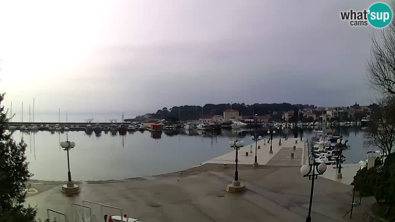 Webcam Krk – marina