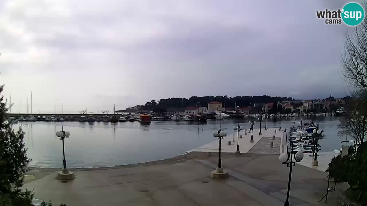 Webcam Krk – marina