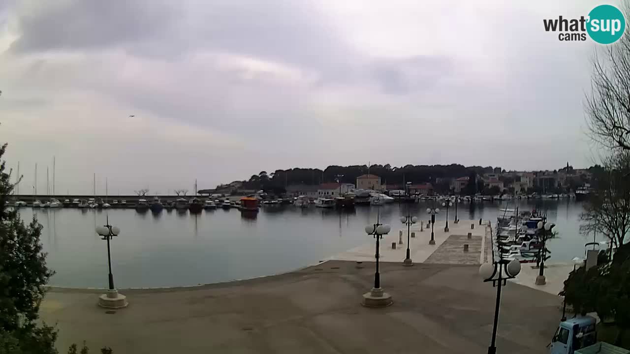 Webcam Krk – marina