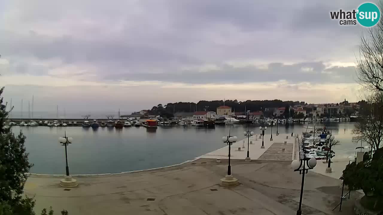 Webcam Krk – marina