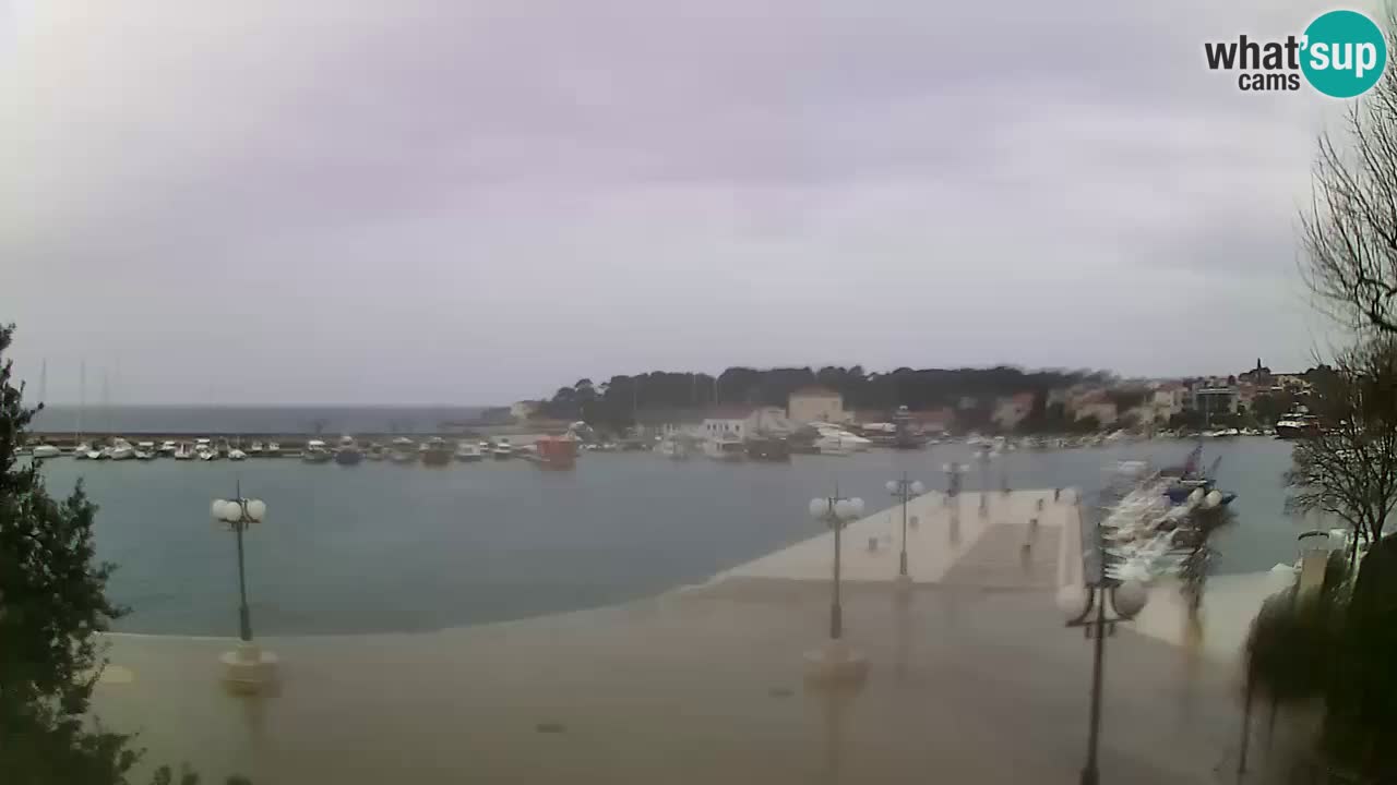 Webcam Krk – marina