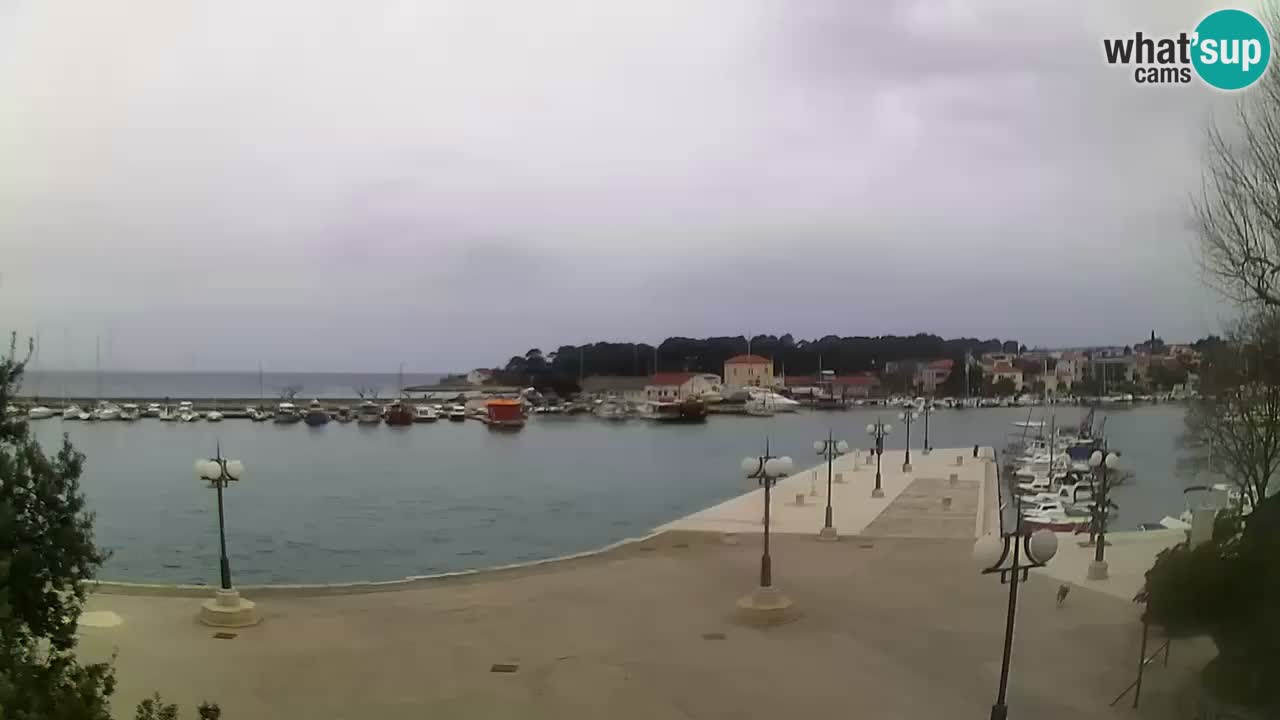 Webcam Krk – marina