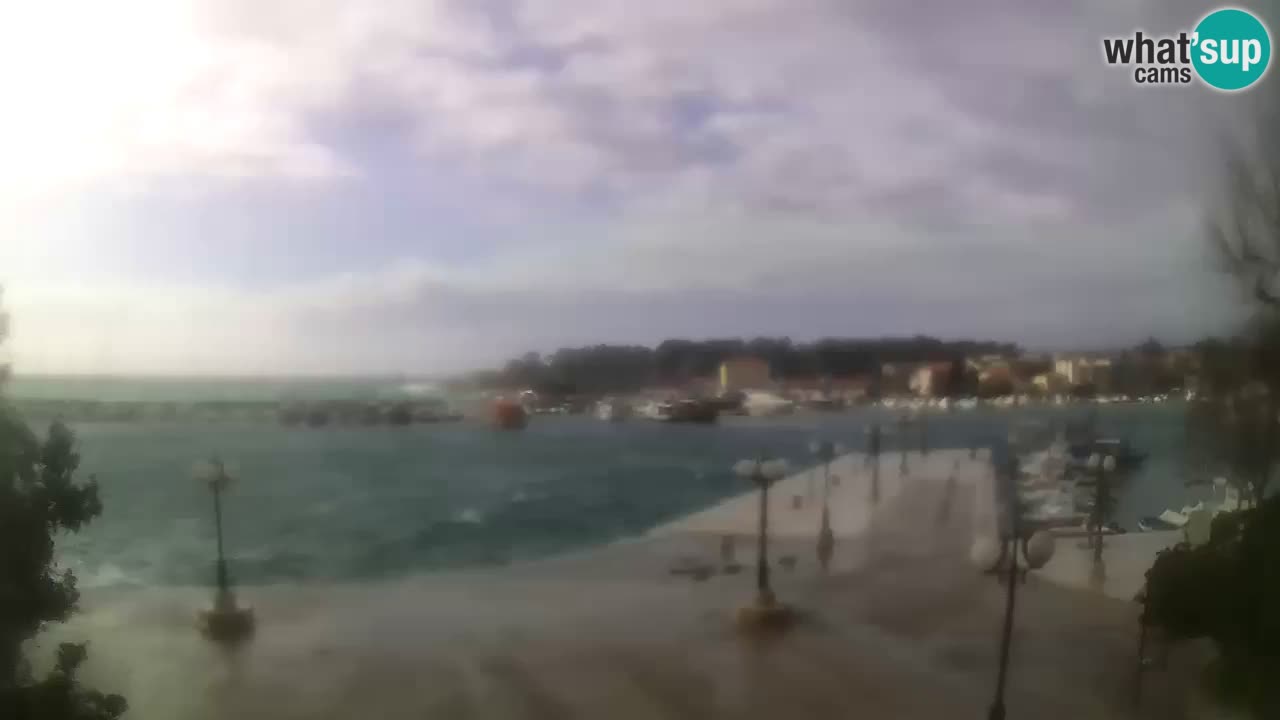 Webcam Krk – marina