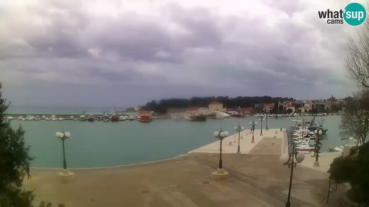 Webcam Krk – marina