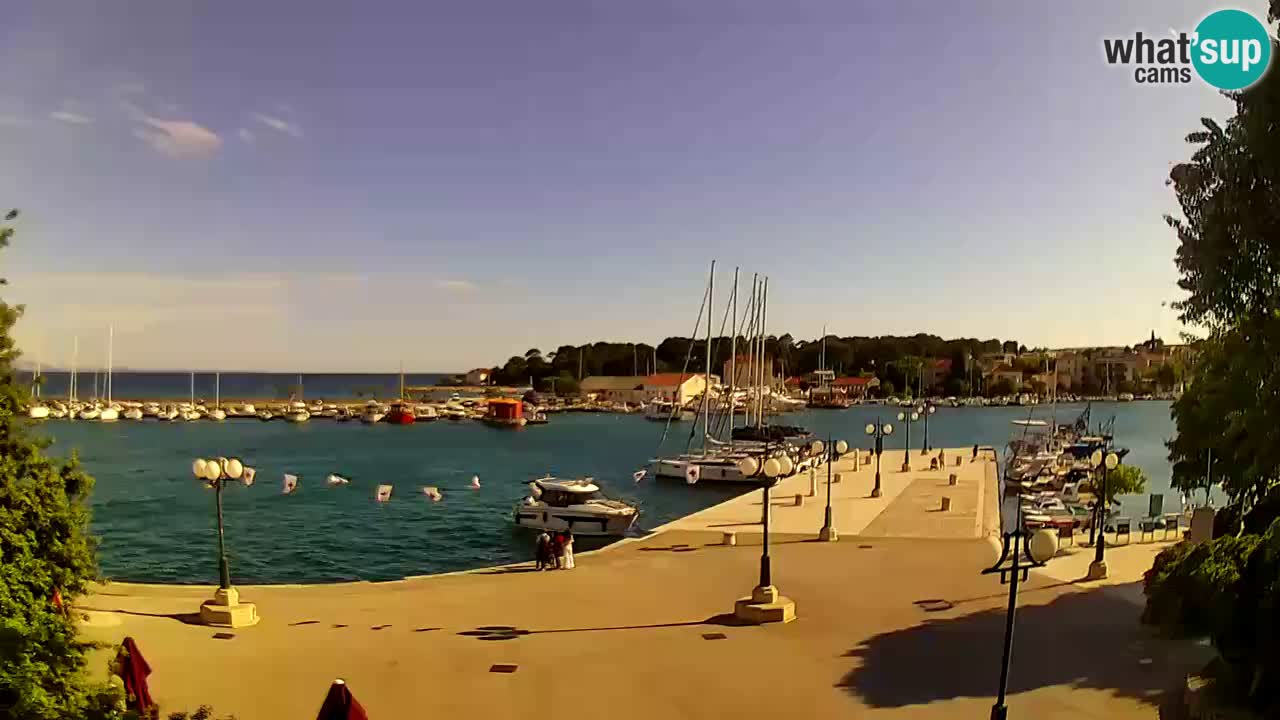 Webcam Krk – marina